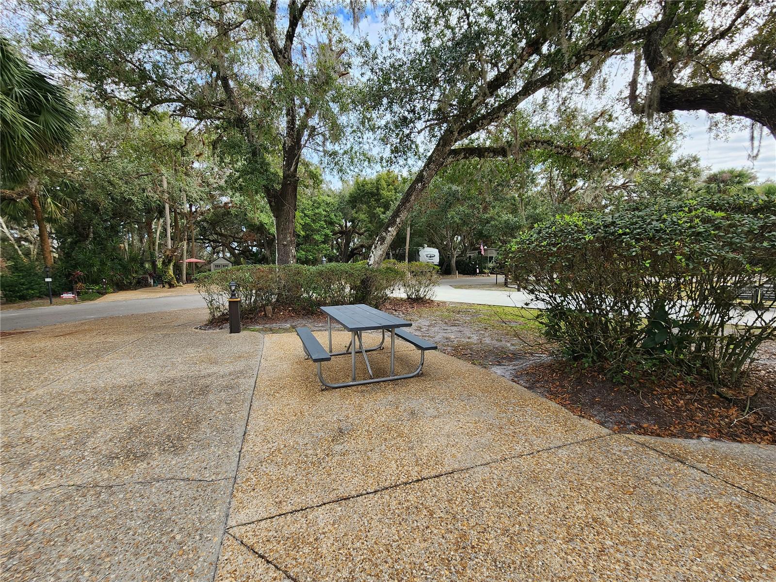 387 Longhorn Dr Property Photo 8