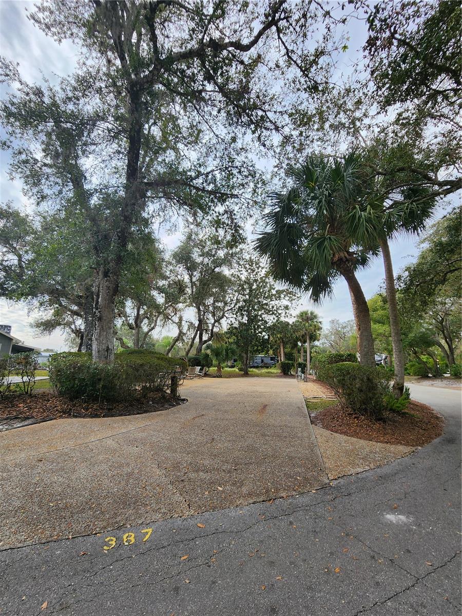 387 Longhorn Dr Property Photo 10
