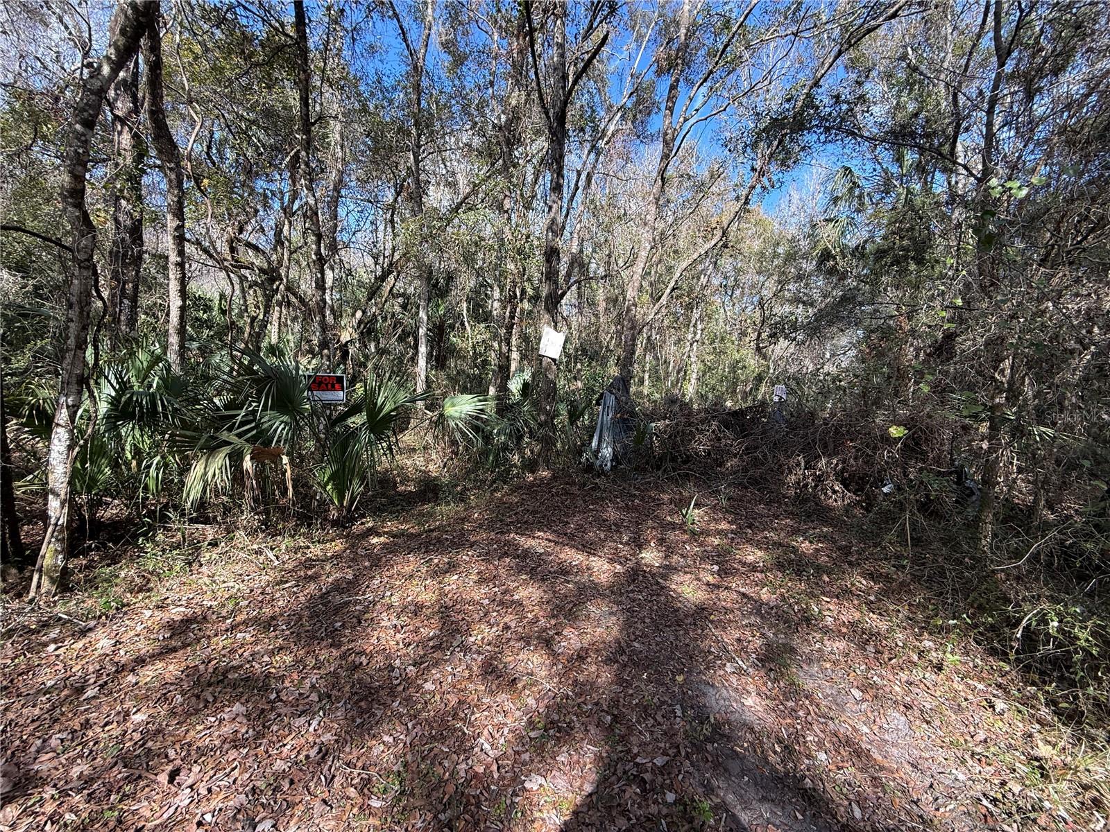 3932 N Hidden Oaks Way Property Photo 17