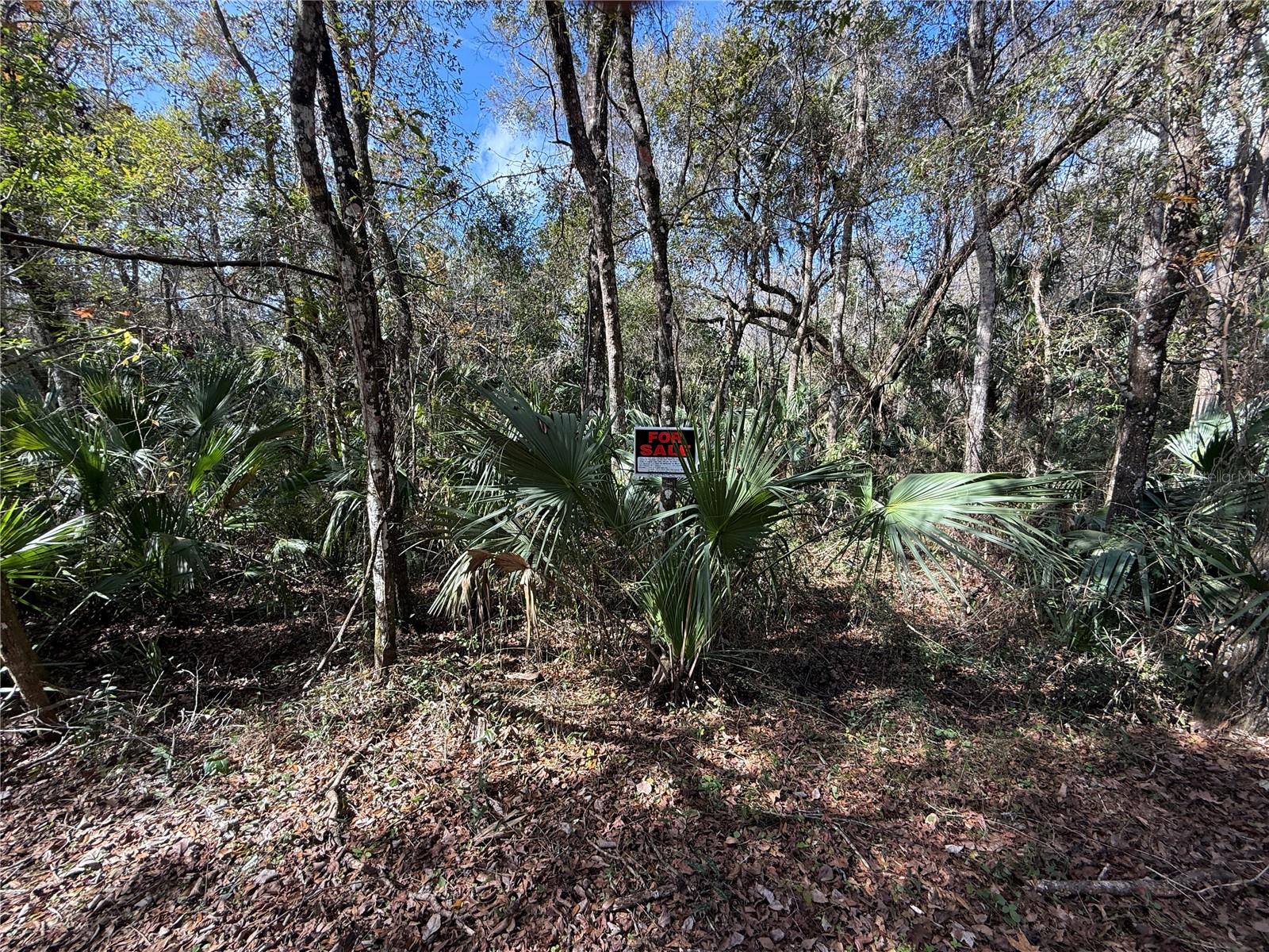 3932 N Hidden Oaks Way Property Photo 18