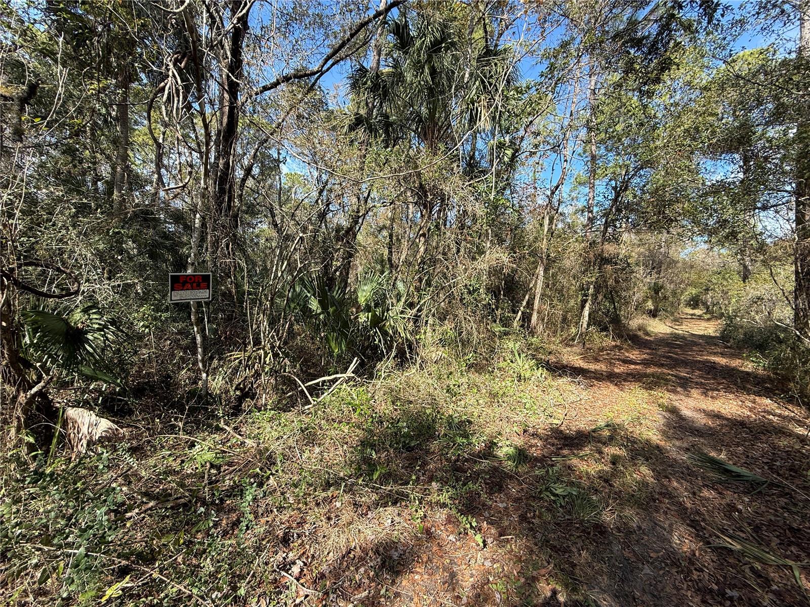 3932 N Hidden Oaks Way Property Photo 19