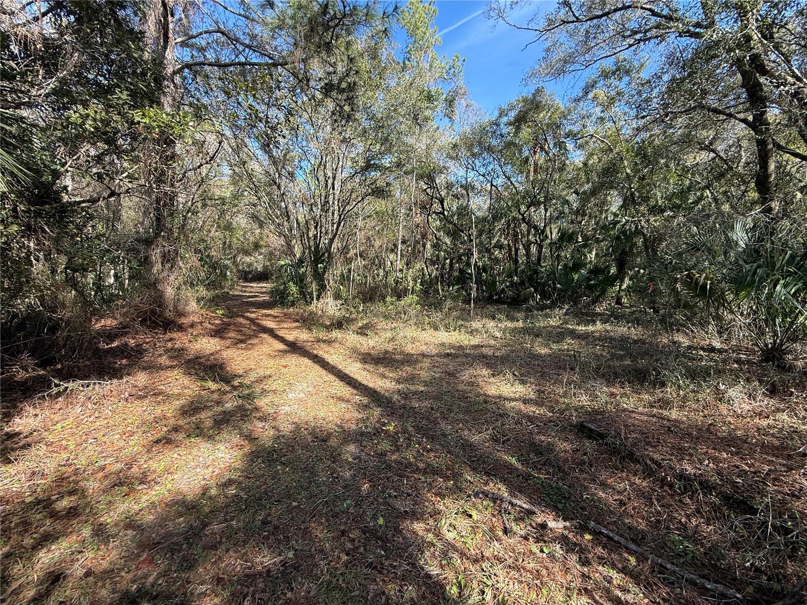 3932 N Hidden Oaks Way Property Photo 22