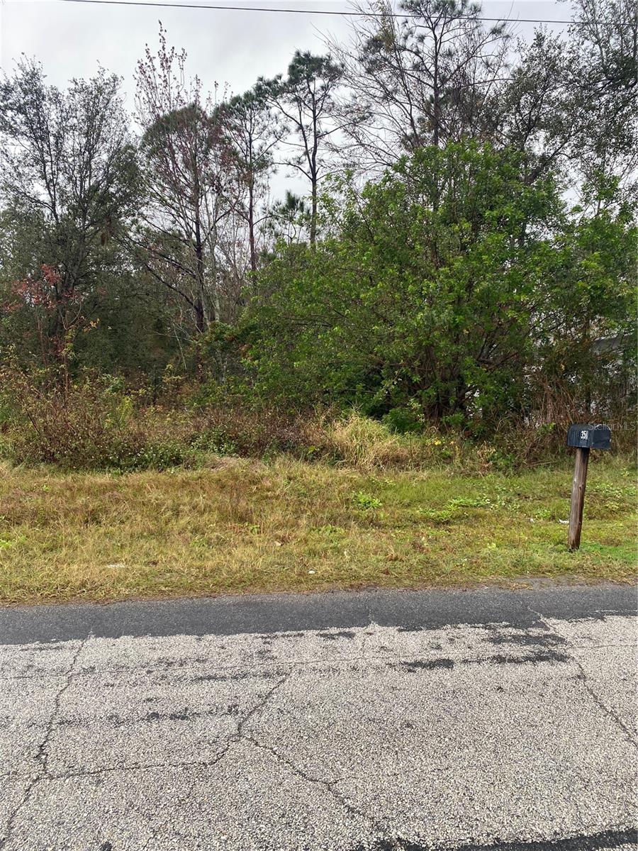 Clermont Dr Property Photo 5