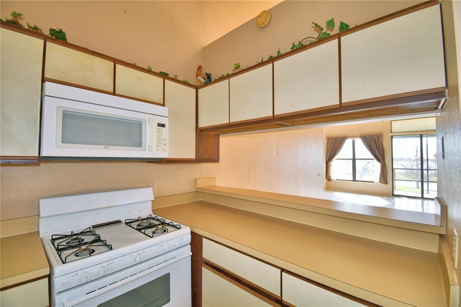 608 Sweet Bay Cir Property Photo 20