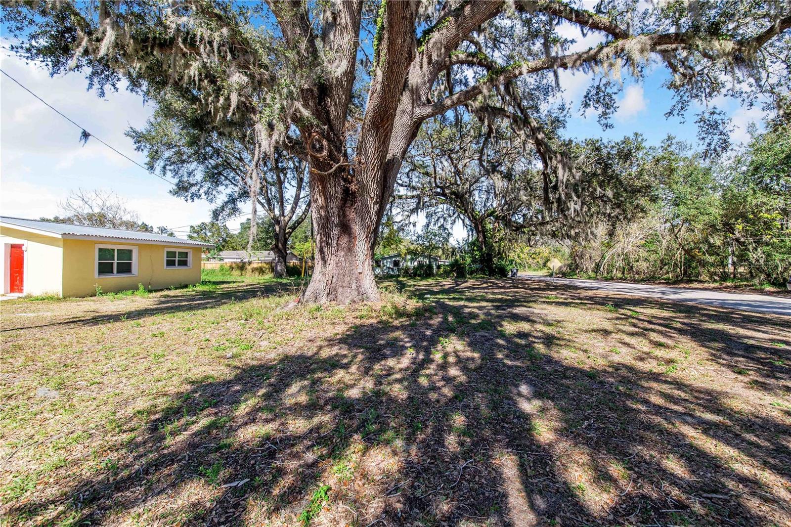 Fouse Ave Property Photo 4