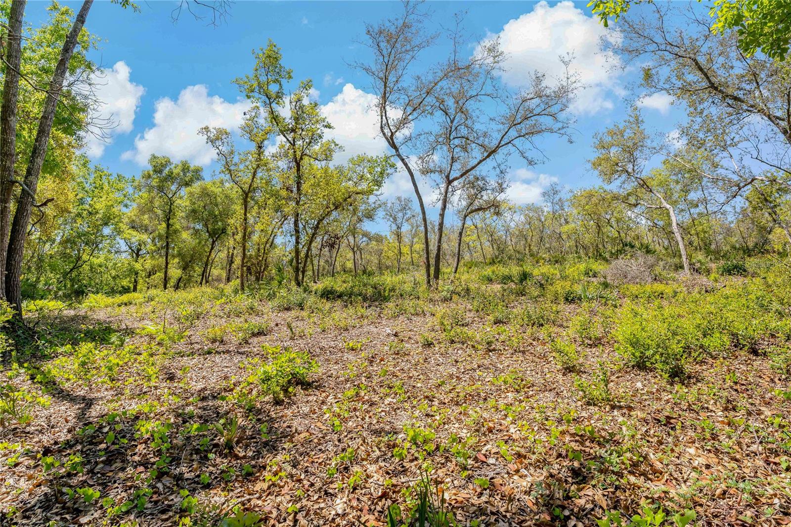 2135 Bear Run N Property Photo