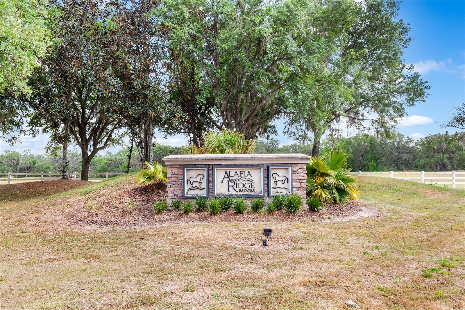 117 Alafia Estates Ln Property Photo