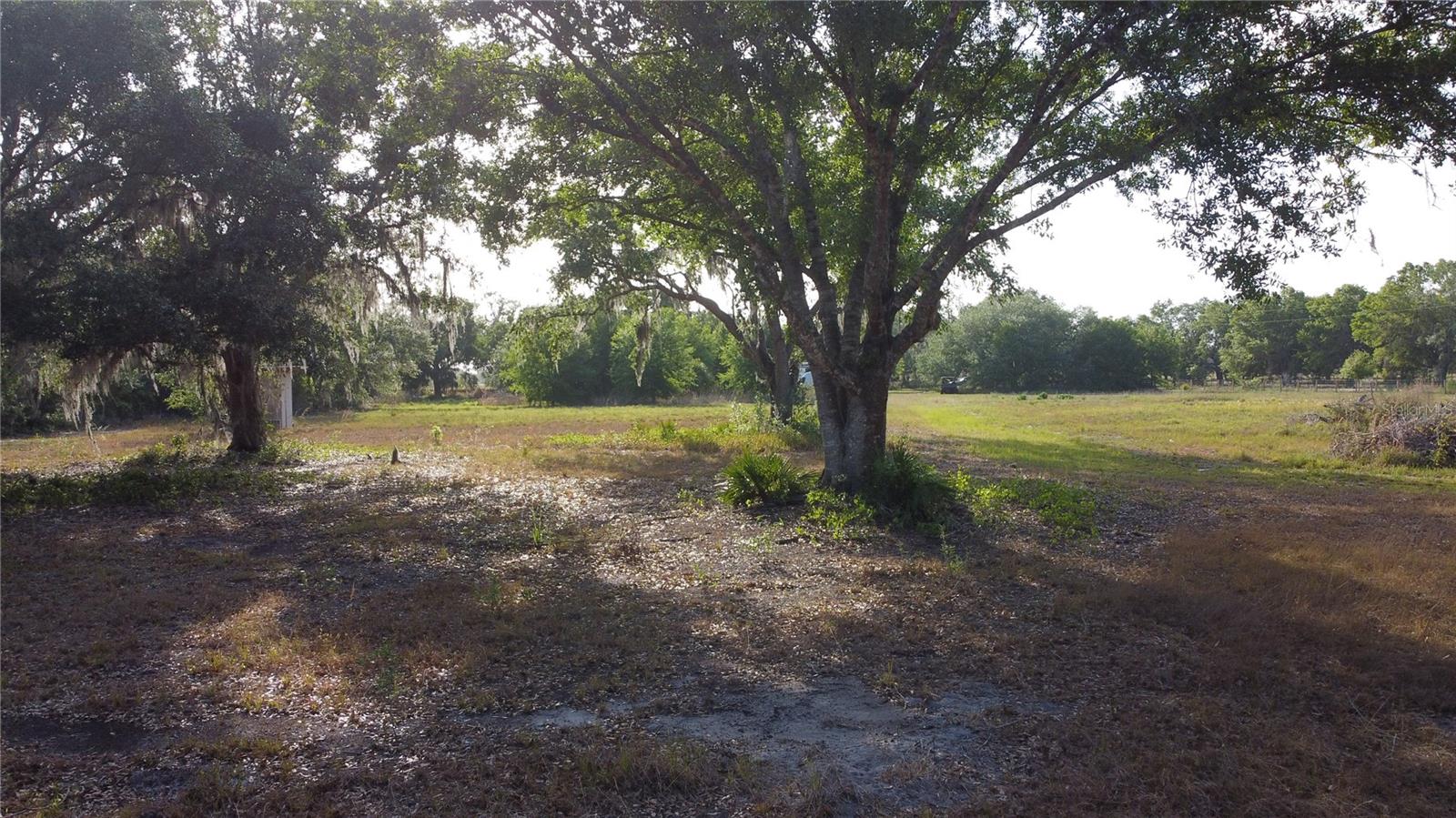 1412 Friendship Ln Property Photo 9