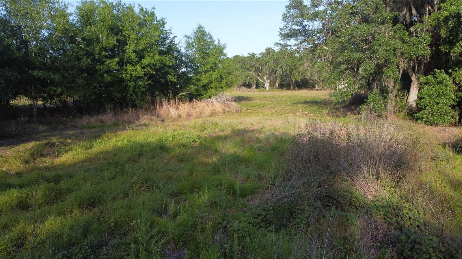 1412 Friendship Ln Property Photo 16