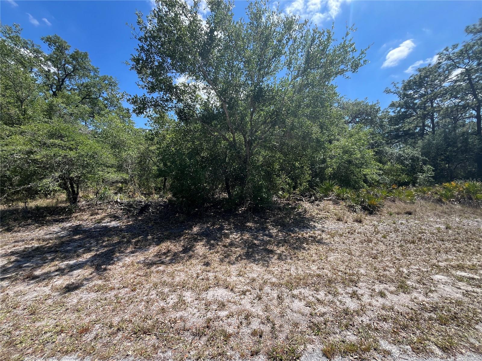 Oleander Dr Property Photo