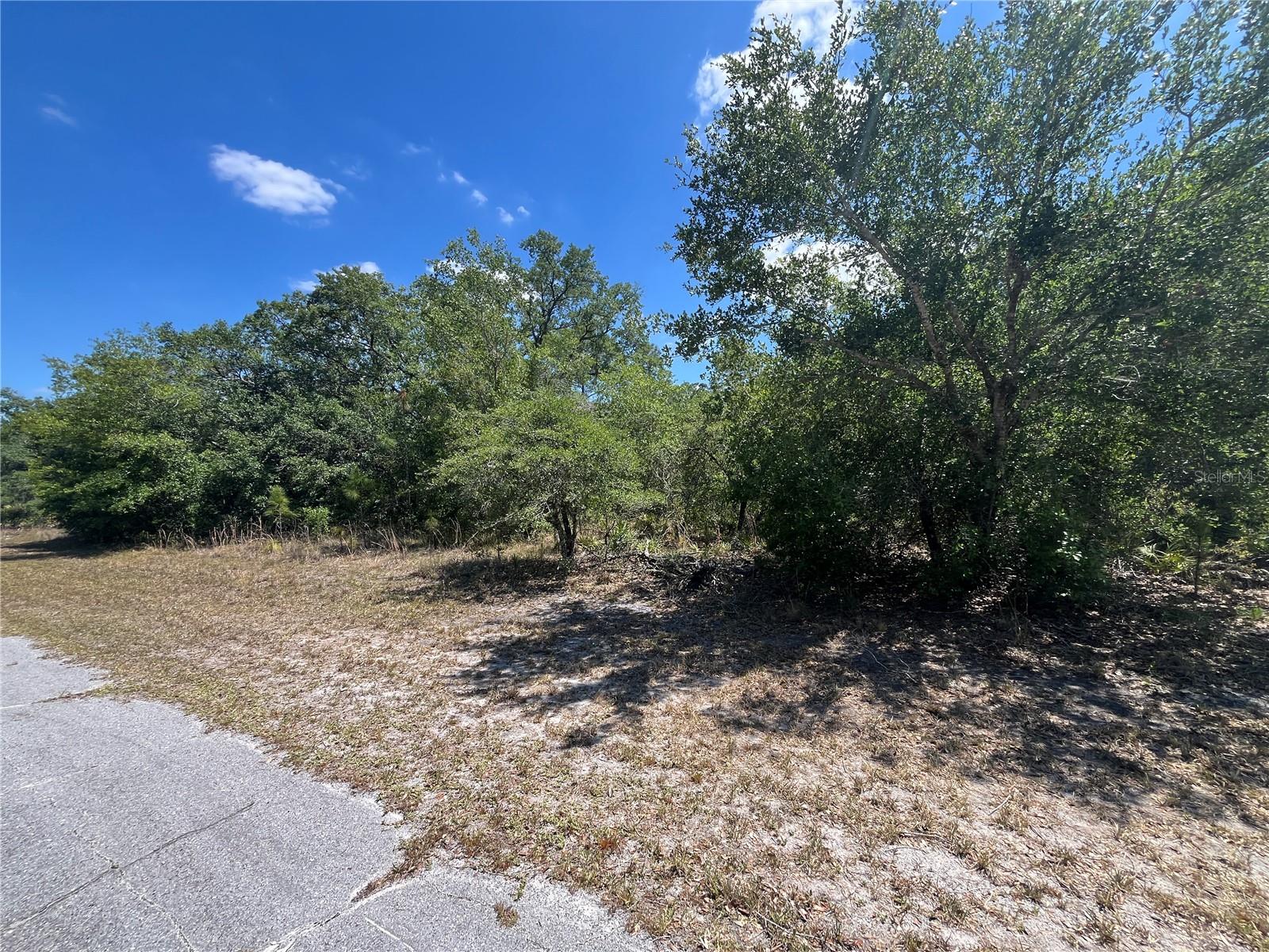 Oleander Dr Property Photo 3