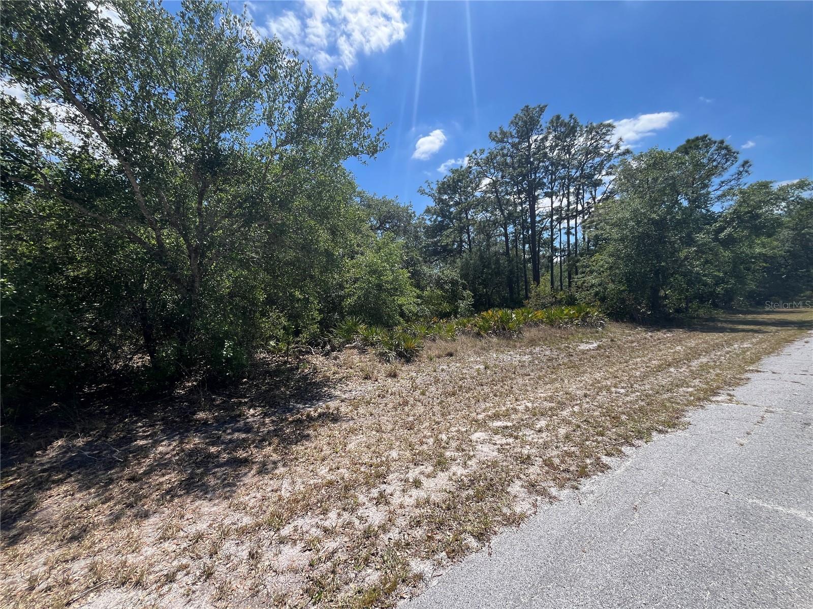 Oleander Dr Property Photo 4