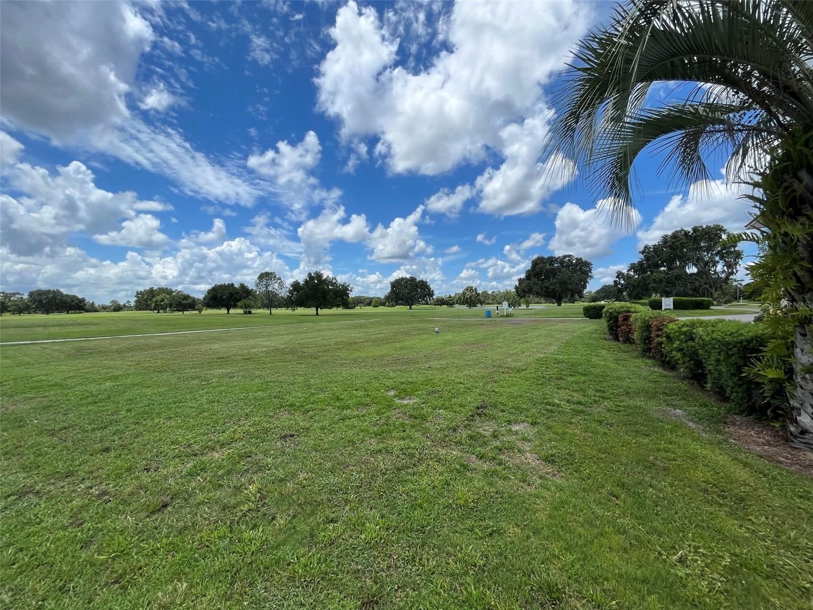 Oleander Dr Property Photo 24