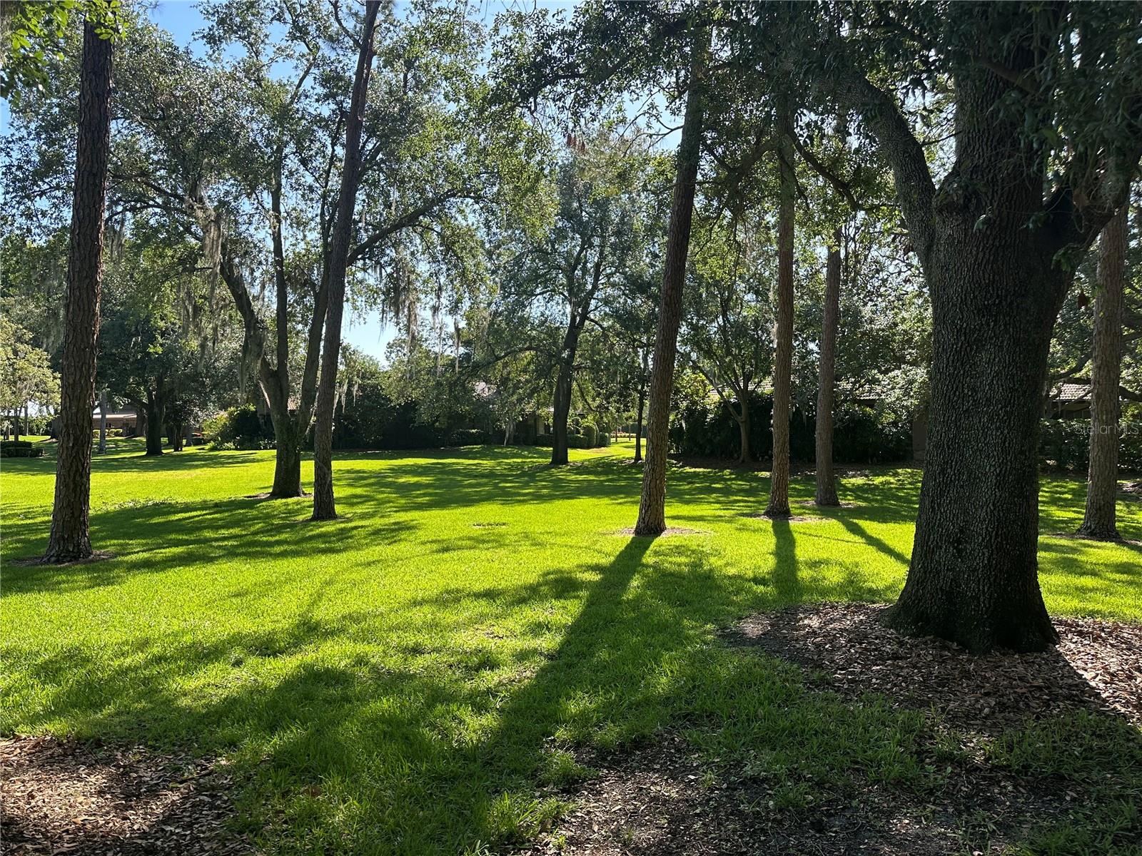 104 Woden Way Property Photo 33