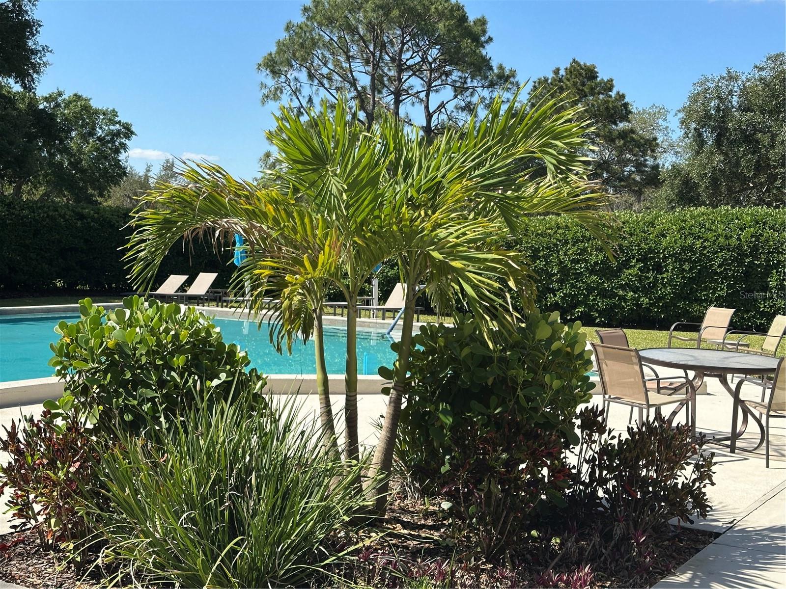 104 Woden Way Property Photo 46