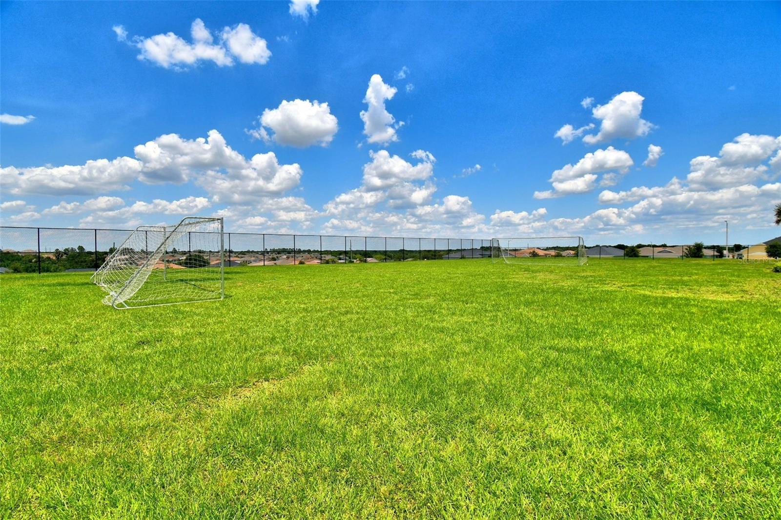 710 Persian Dr Property Photo 18