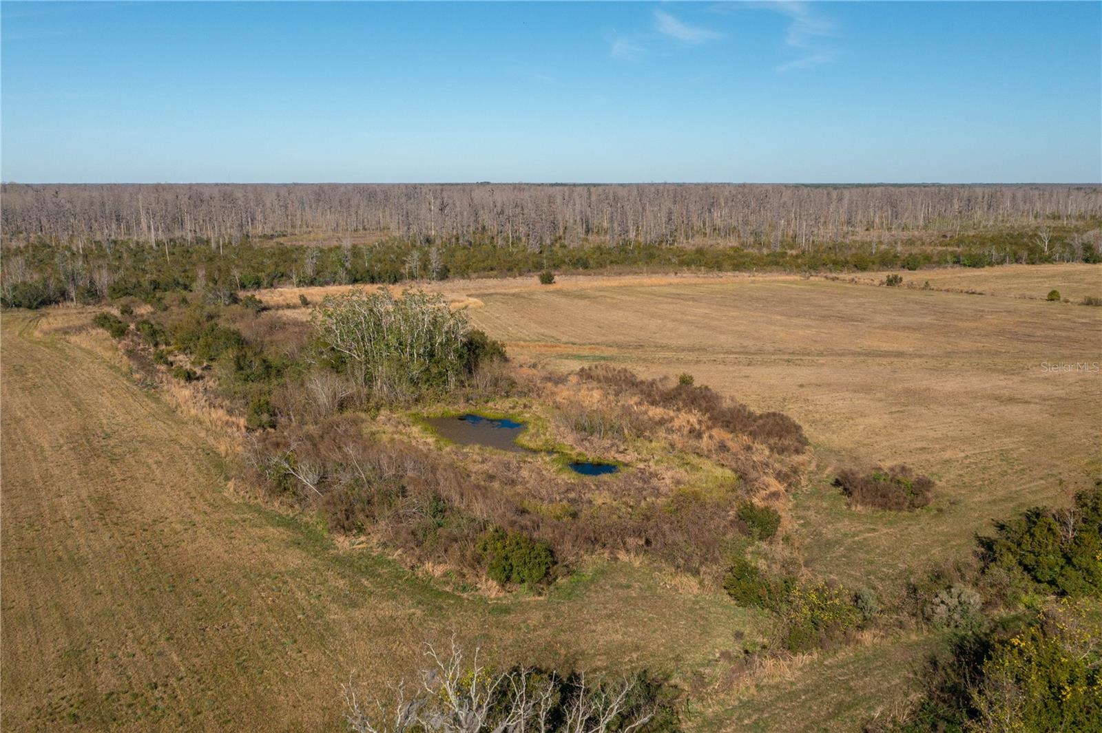 601 Diamond Acres Rd Property Photo 5