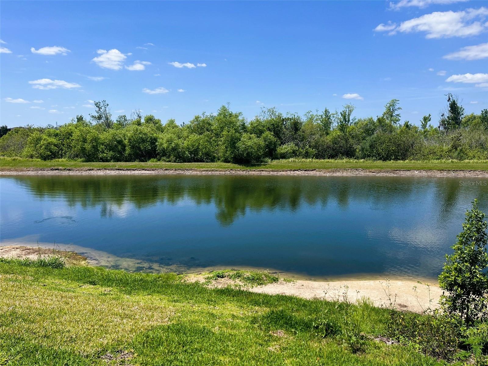 559 Waterfern Trail Dr Property Photo 19