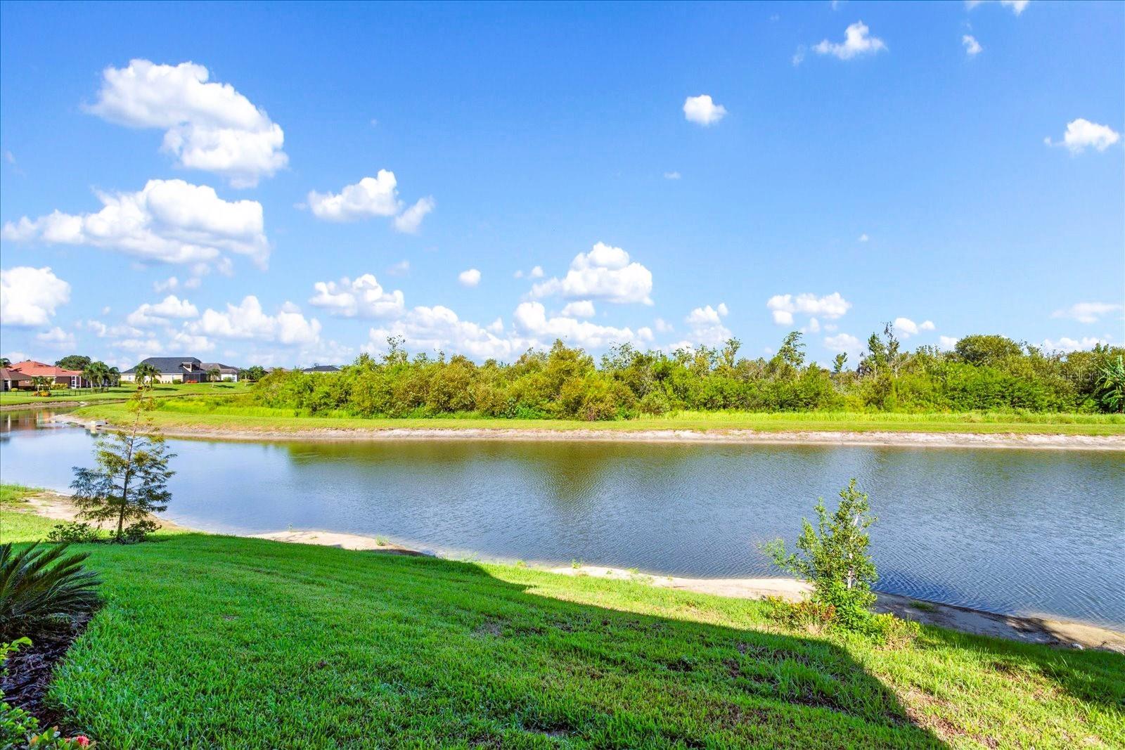 559 Waterfern Trail Dr Property Photo 37