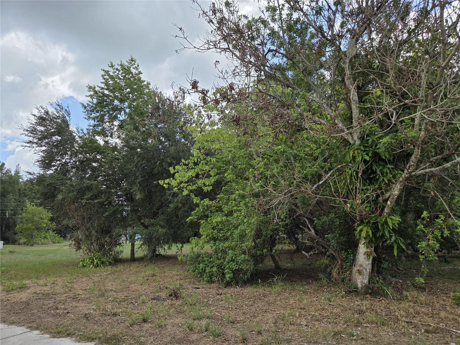 505 S Lanier Ave Property Photo 3