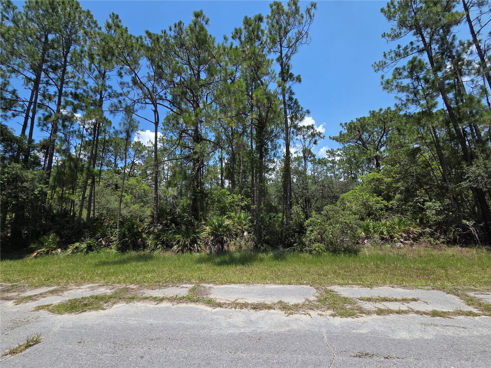0 Allamanda Dr Property Photo 1