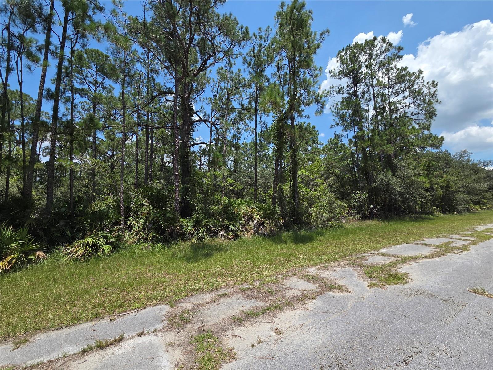 0 Allamanda Dr Property Photo 2