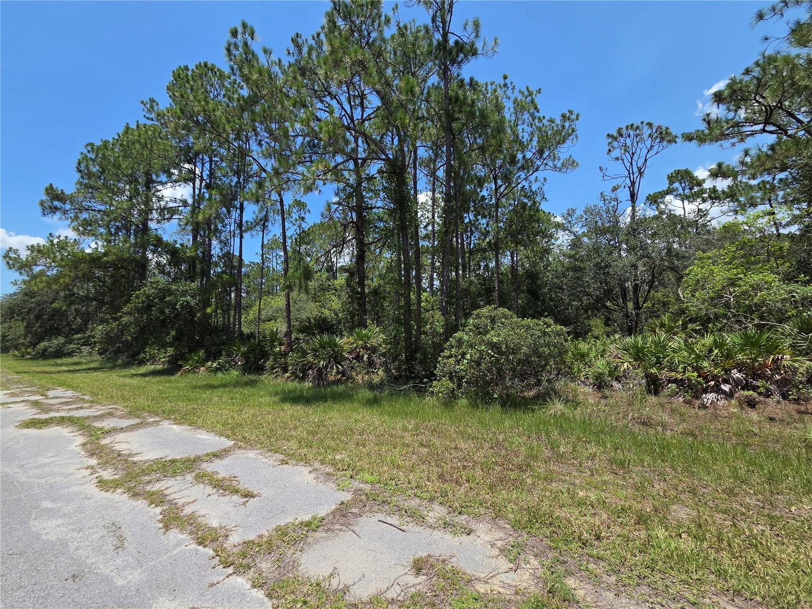 0 Allamanda Dr Property Photo 3