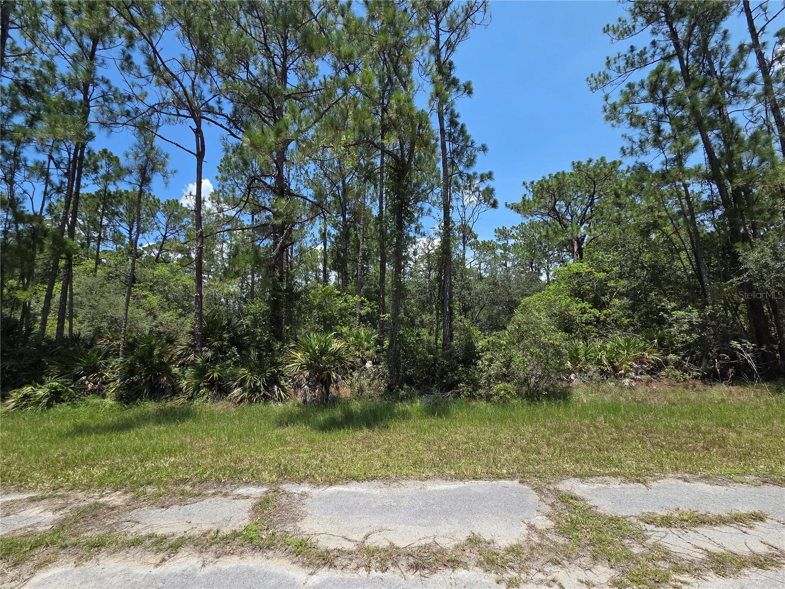 0 Allamanda Dr Property Photo 4