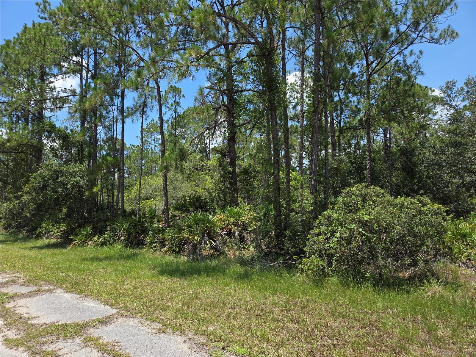 0 Allamanda Dr Property Photo 6