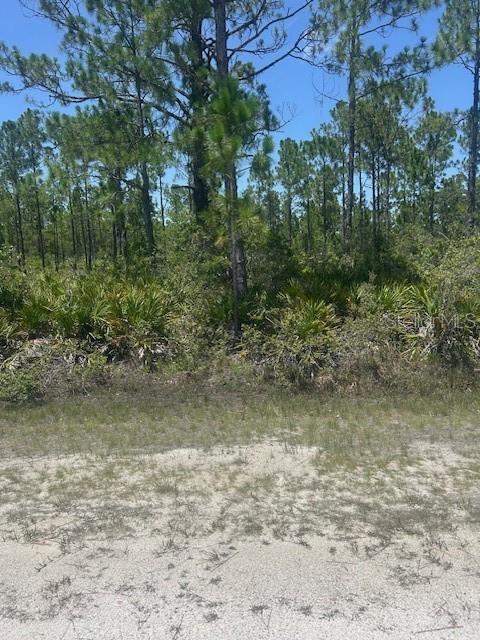 1018 Calendula Dr Property Photo 2