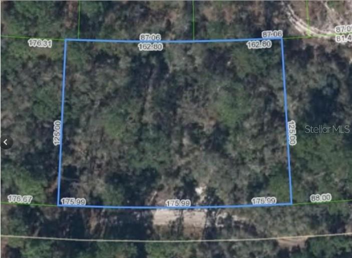 354 CARTIER AVE Property Photo 1