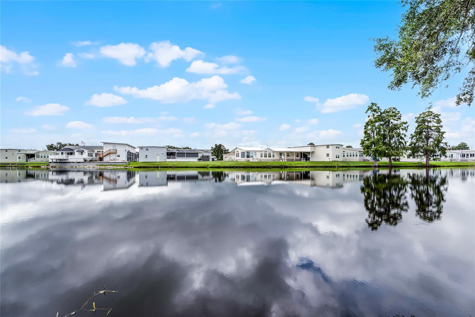 5001 Mount Olive Shores Dr Property Photo 43