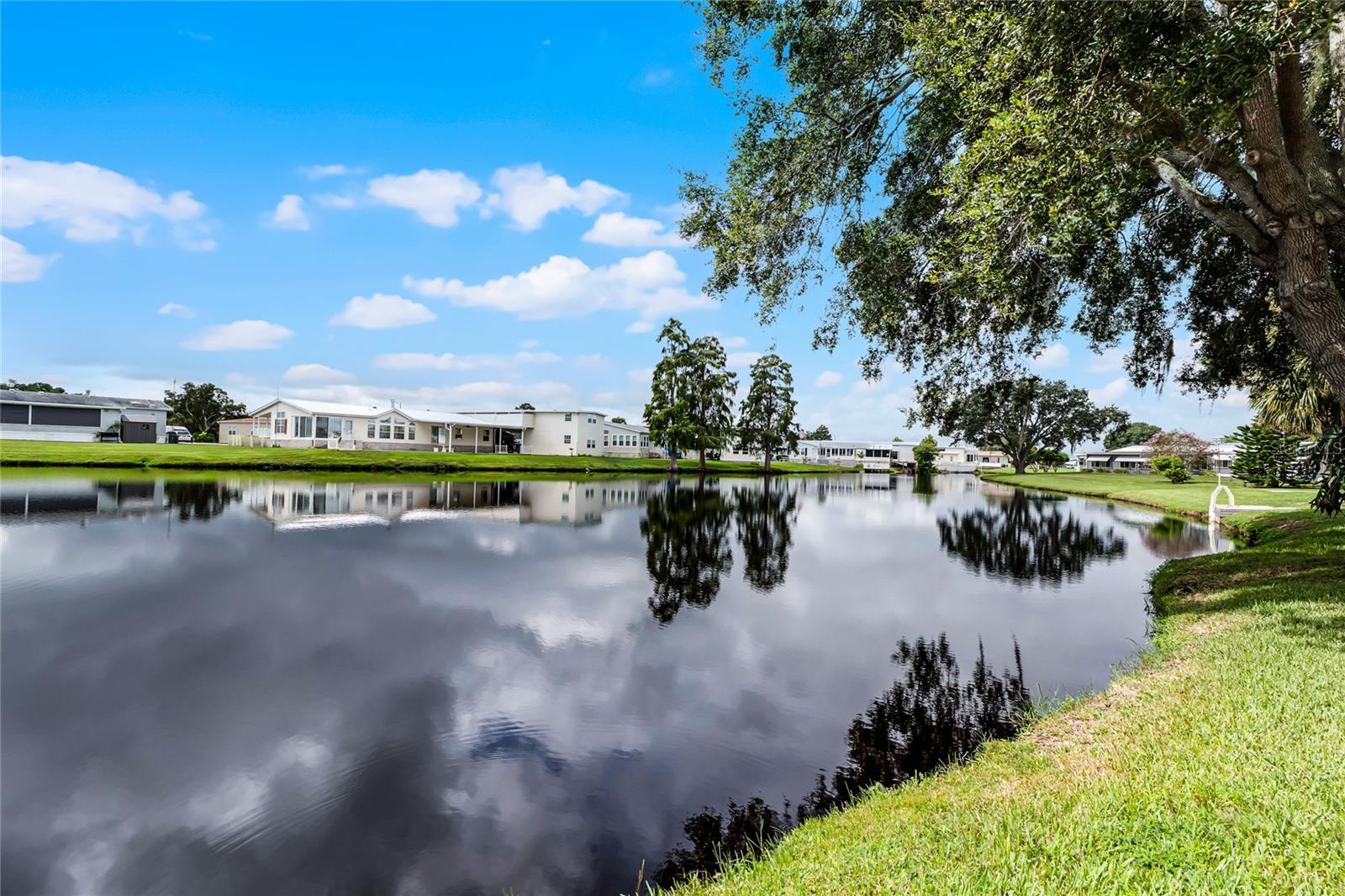 5001 Mount Olive Shores Dr Property Photo 44