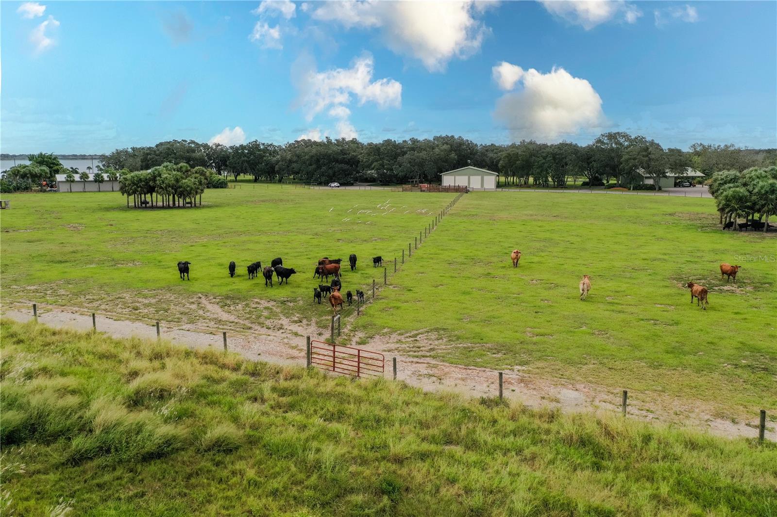 8006 Lake Lowery Rd Property Photo 64