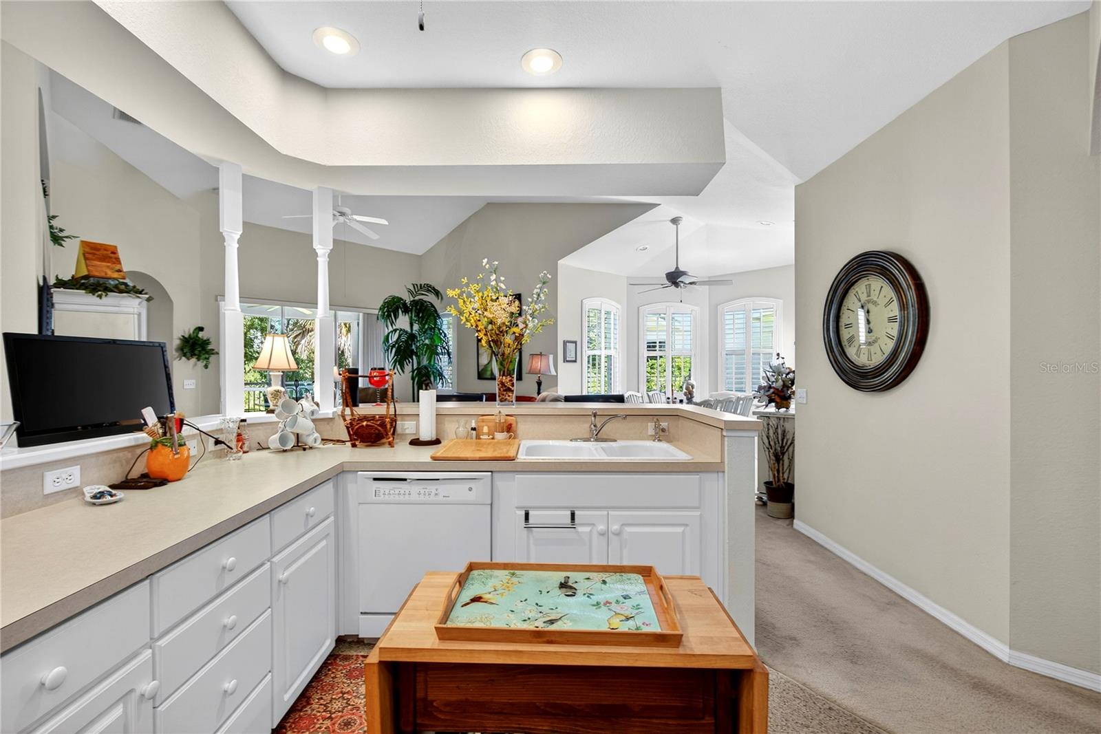 516 Grasslands Village Cir Property Photo 23