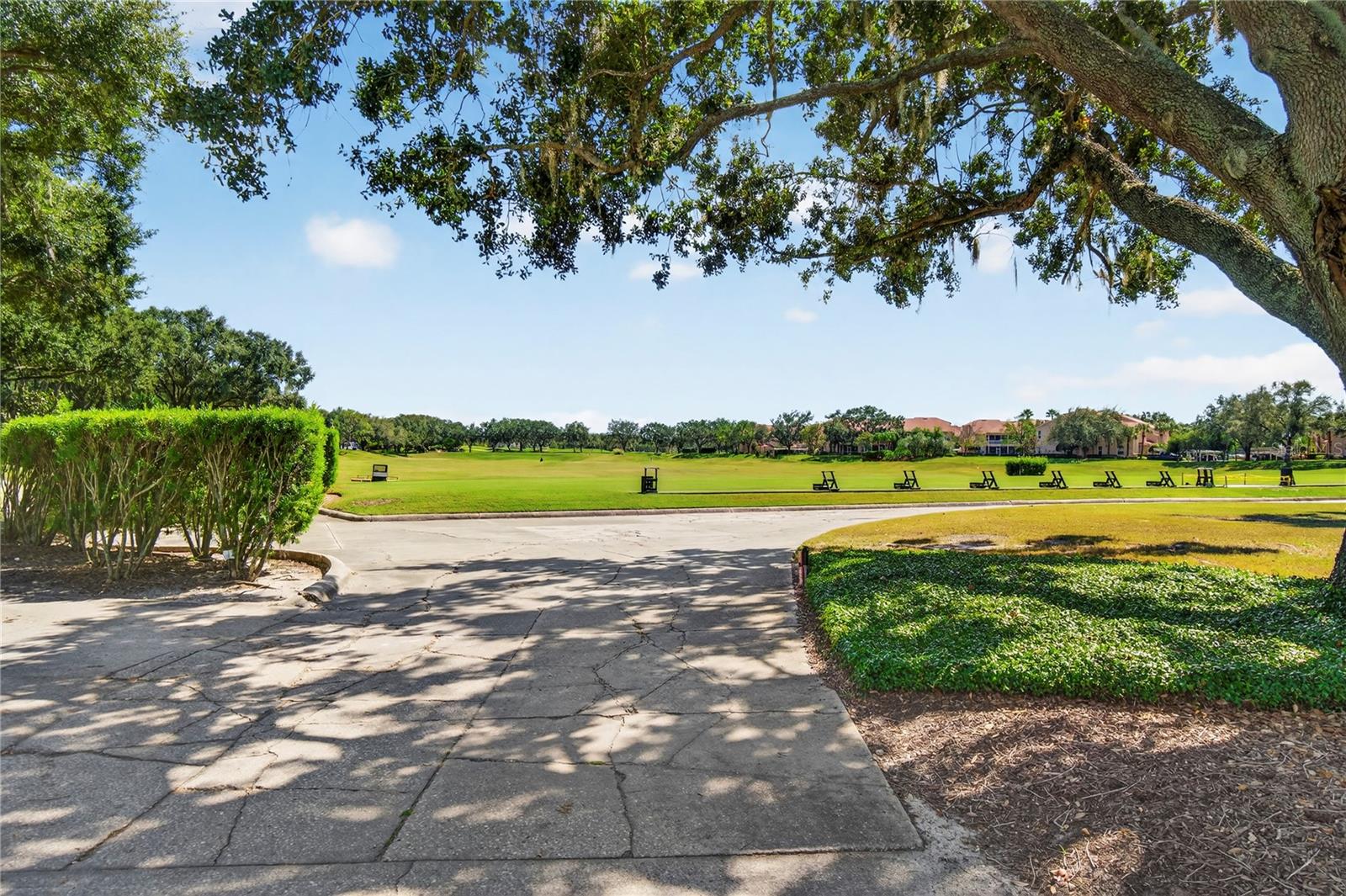 516 Grasslands Village Cir Property Photo 64