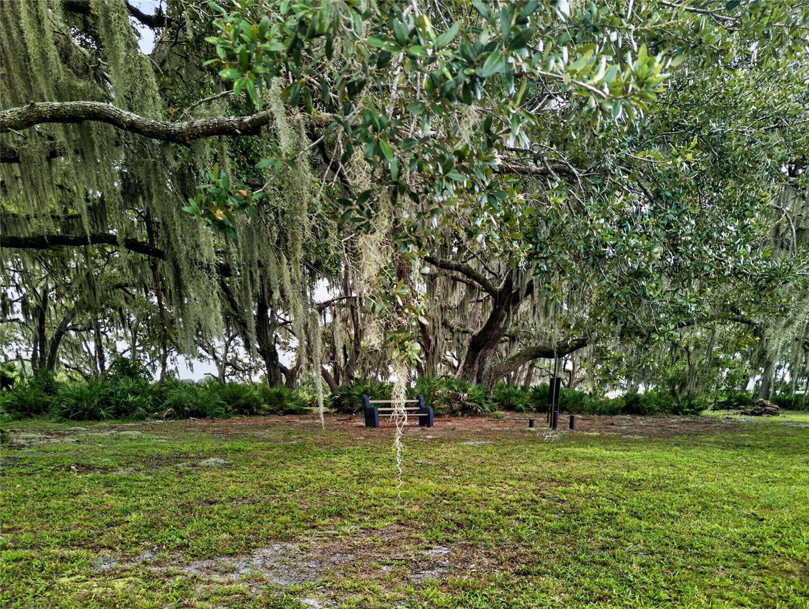 4409 Club Cir Property Photo 55