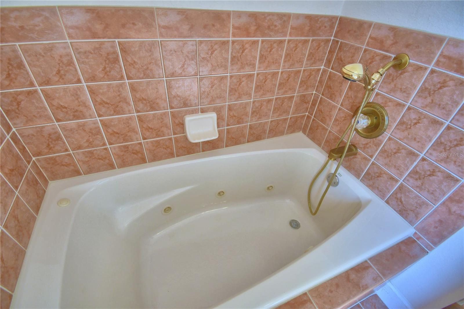 239 Golf Aire Blvd Property Photo 54