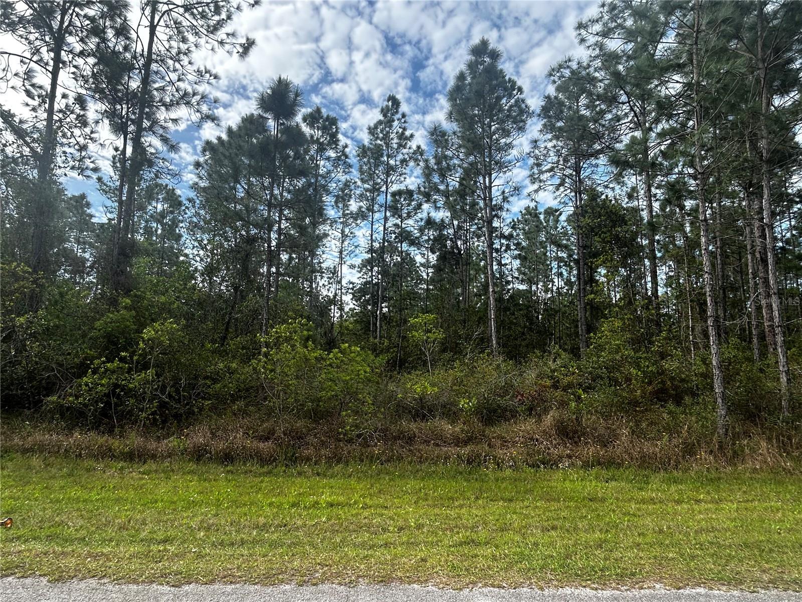207 Gardenia Dr Property Photo