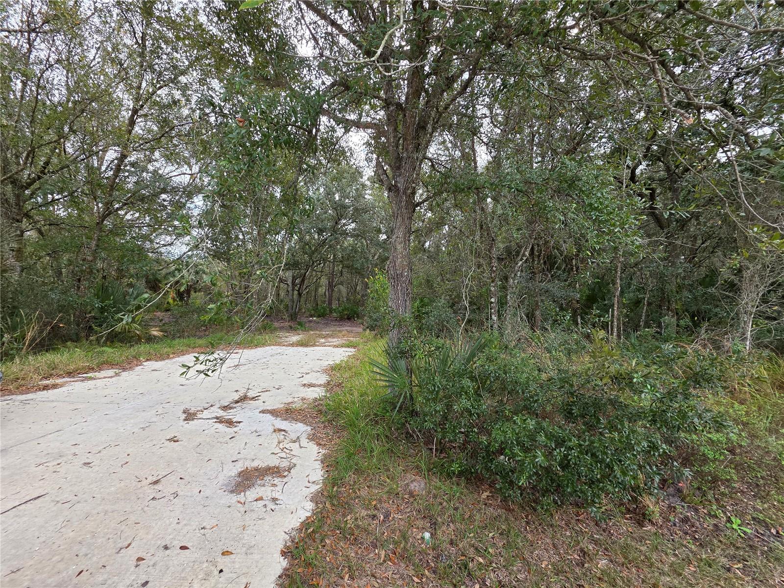 0 State Road 60 E Property Photo 1