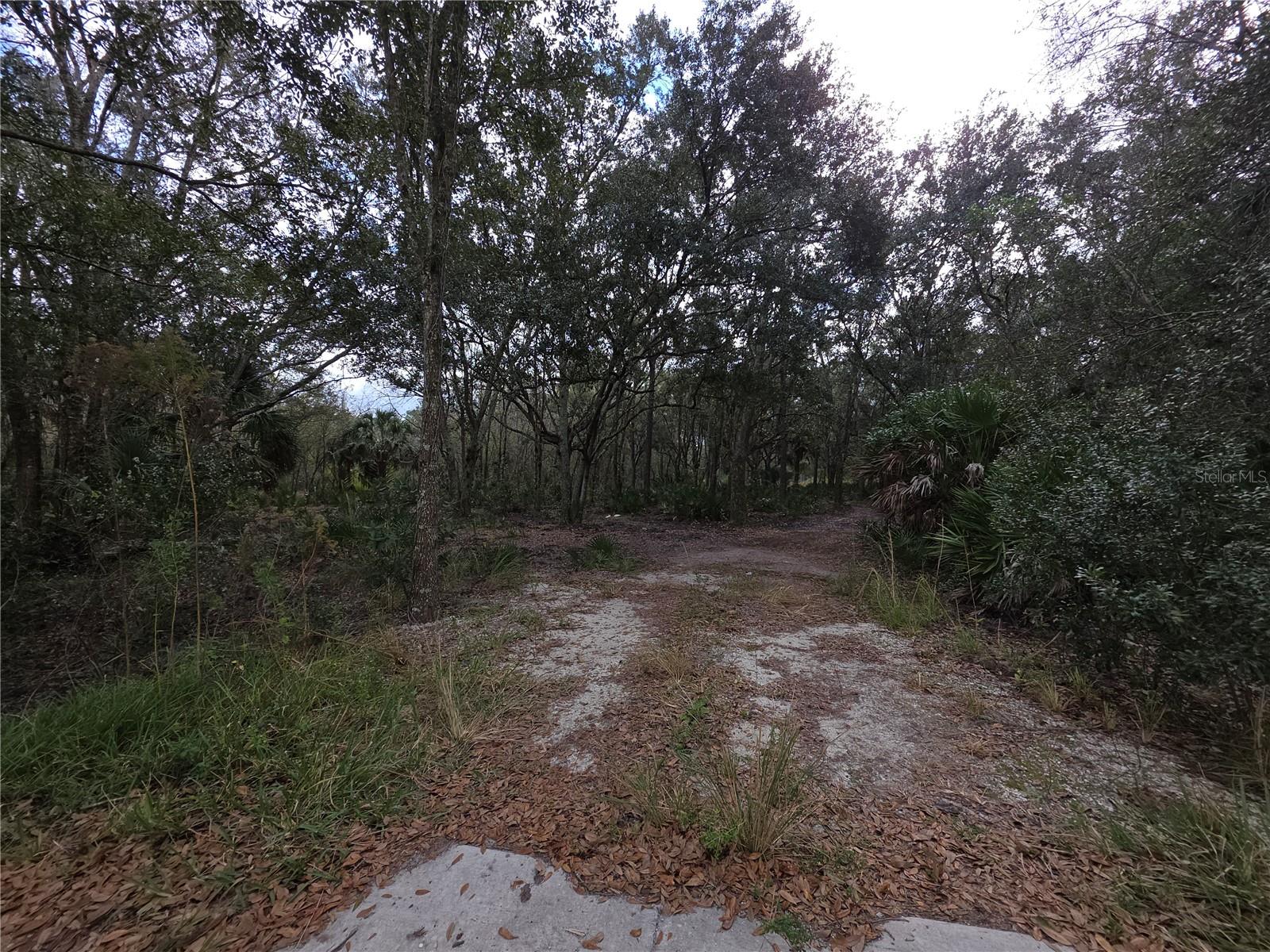 0 State Road 60 E Property Photo 3