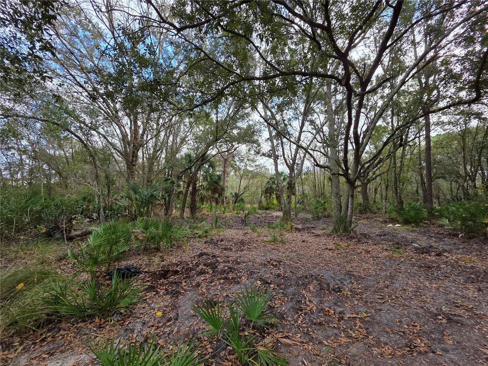 0 State Road 60 E Property Photo 4