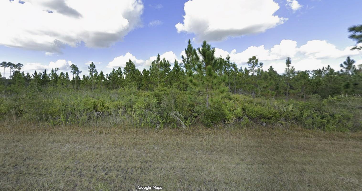 1022 Calliandra Dr Property Photo 2