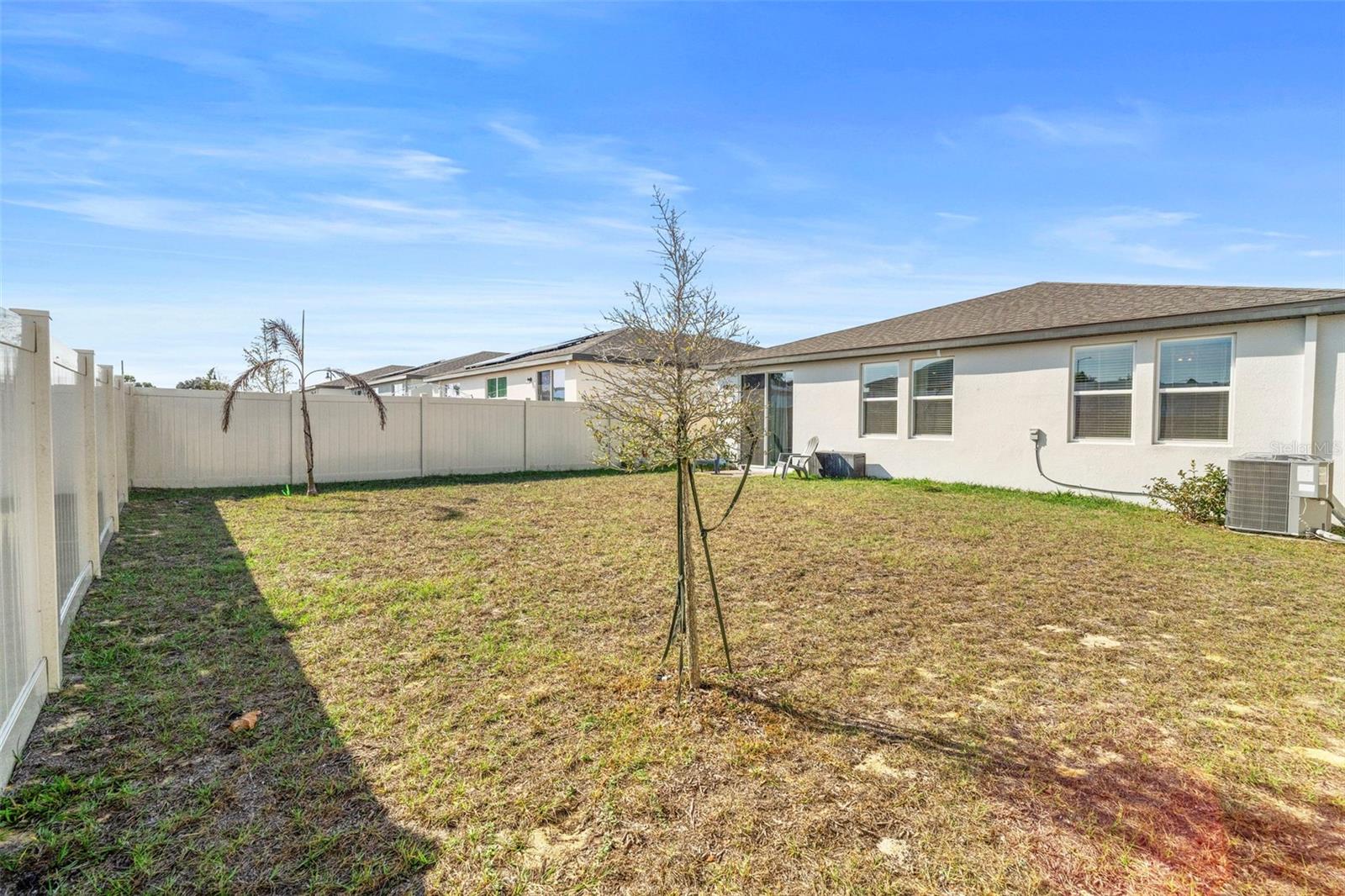 2409 White Tail St Property Photo 49