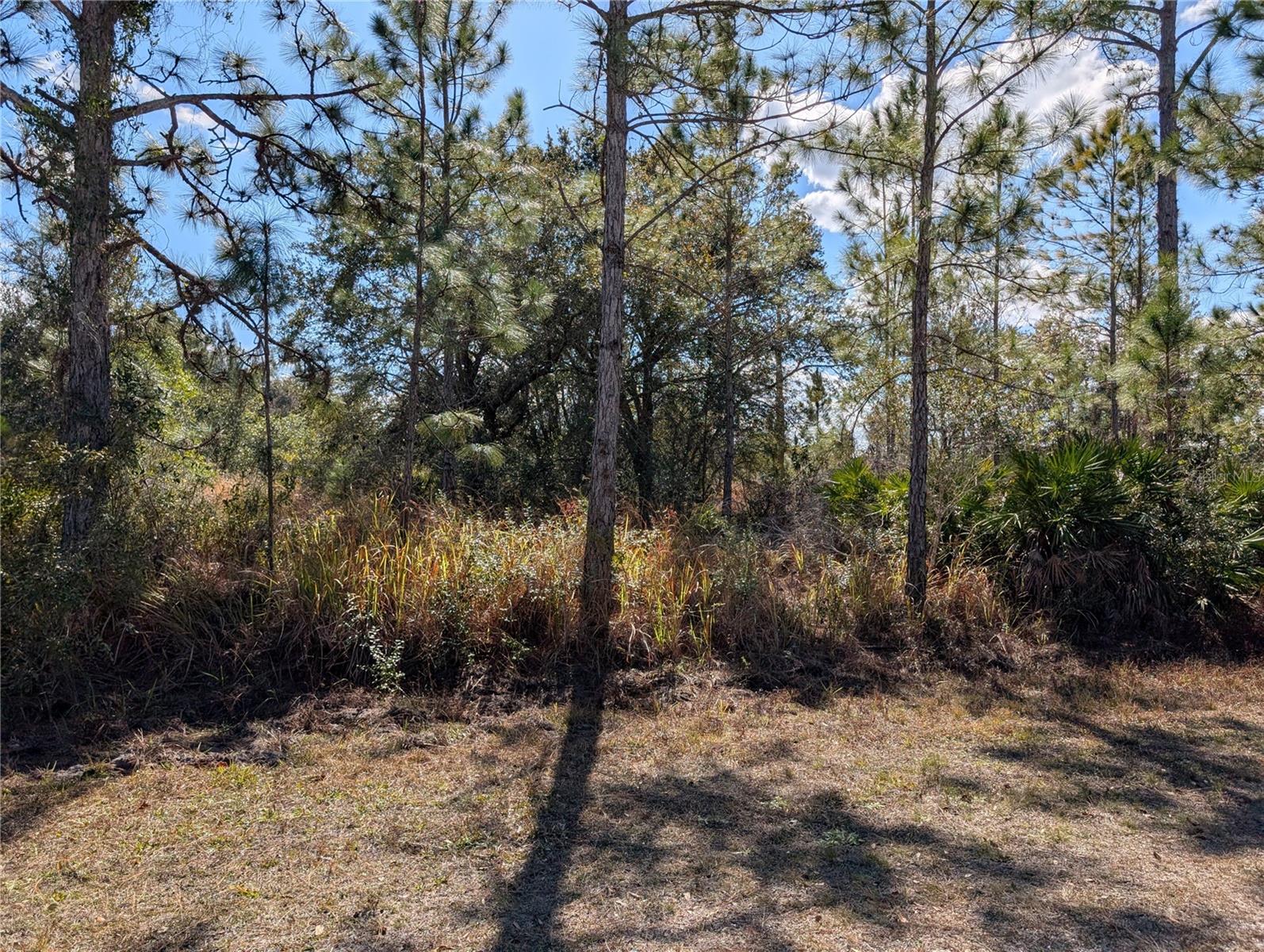 711 Azalea Dr Property Photo 1