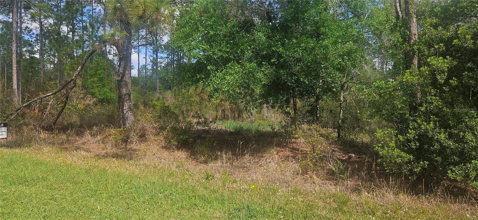 408 Pandora Dr Property Photo 1