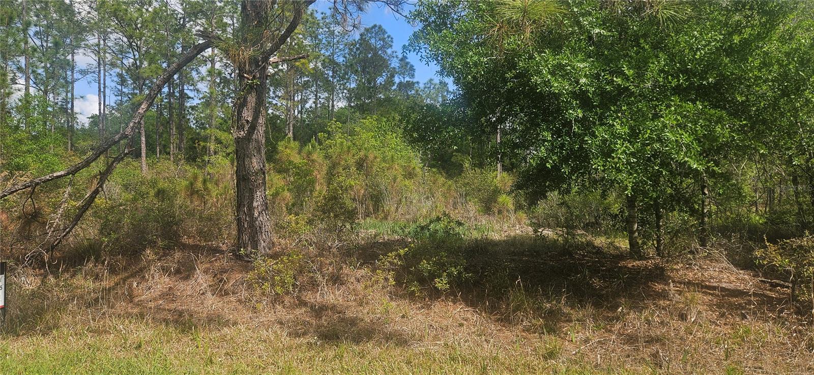 408 Pandora Dr Property Photo 2