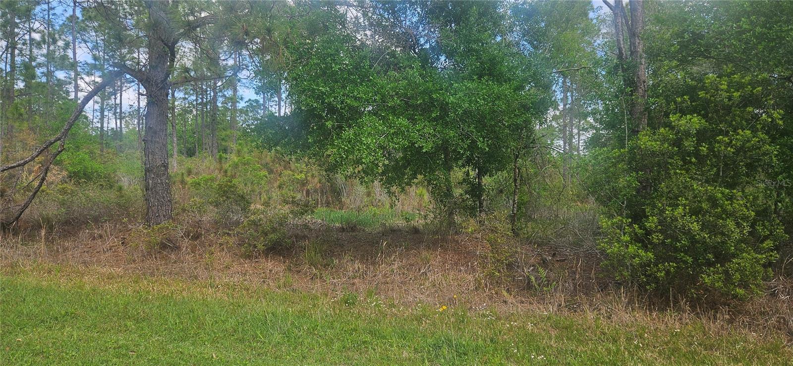 408 Pandora Dr Property Photo 3