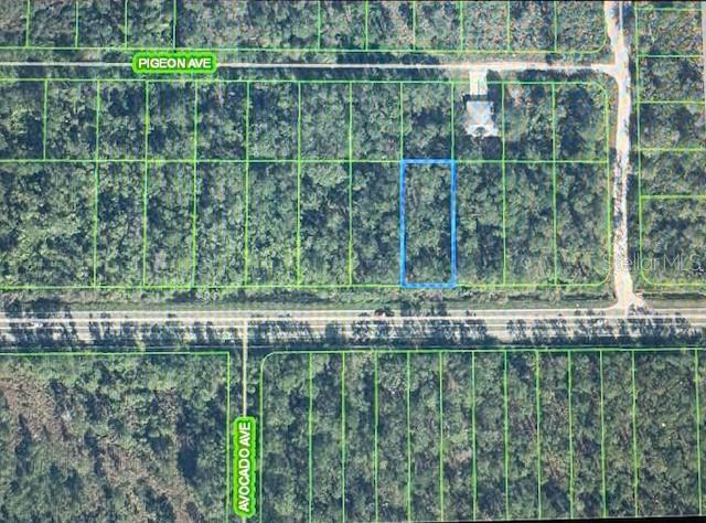 2600 Hammock Rd Property Photo 3