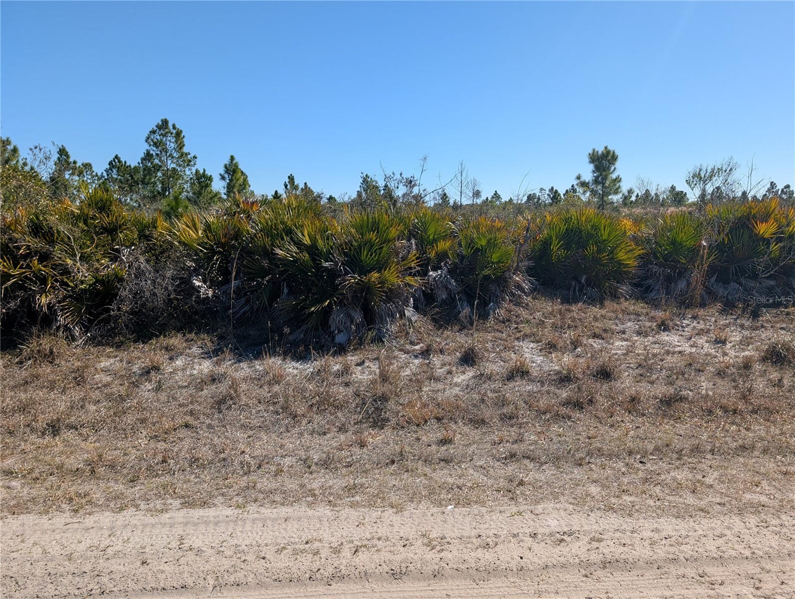 1211 Pinnata Dr Property Photo 1